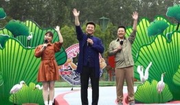 新宇星城爆料最新消息视频,揭秘神秘视频背后的惊人真相